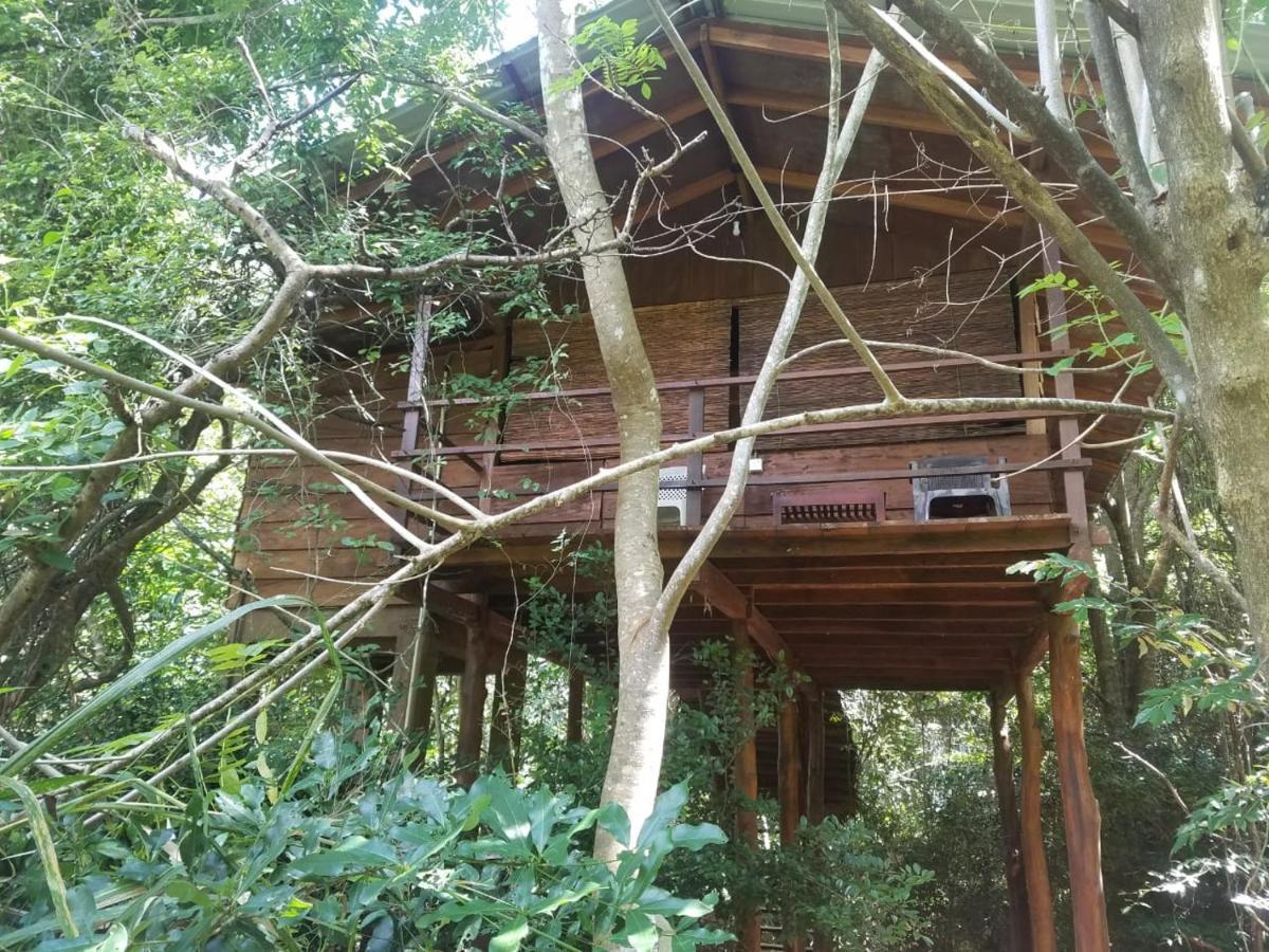The Inn On The Tree 锡吉里亚 外观 照片