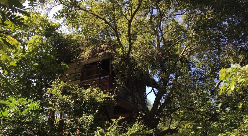 The Inn On The Tree 锡吉里亚 外观 照片